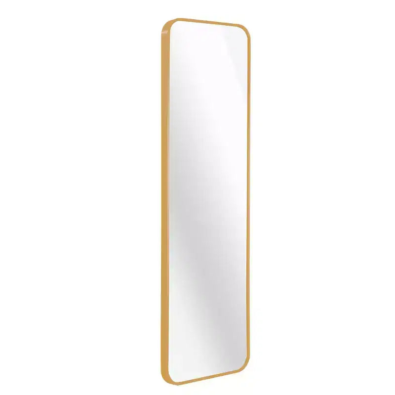 Whisen Miroir de porte mince 47x14 pouces, verre HD avec cadre en aluminium antirouille