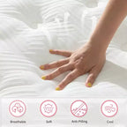 GDFStudio Cecil Matelas Hybride à Ressorts Ensachés Individuels avec Mousse à Mémoire de Forme et Housse Tricotée Rafraîchissante 12 po