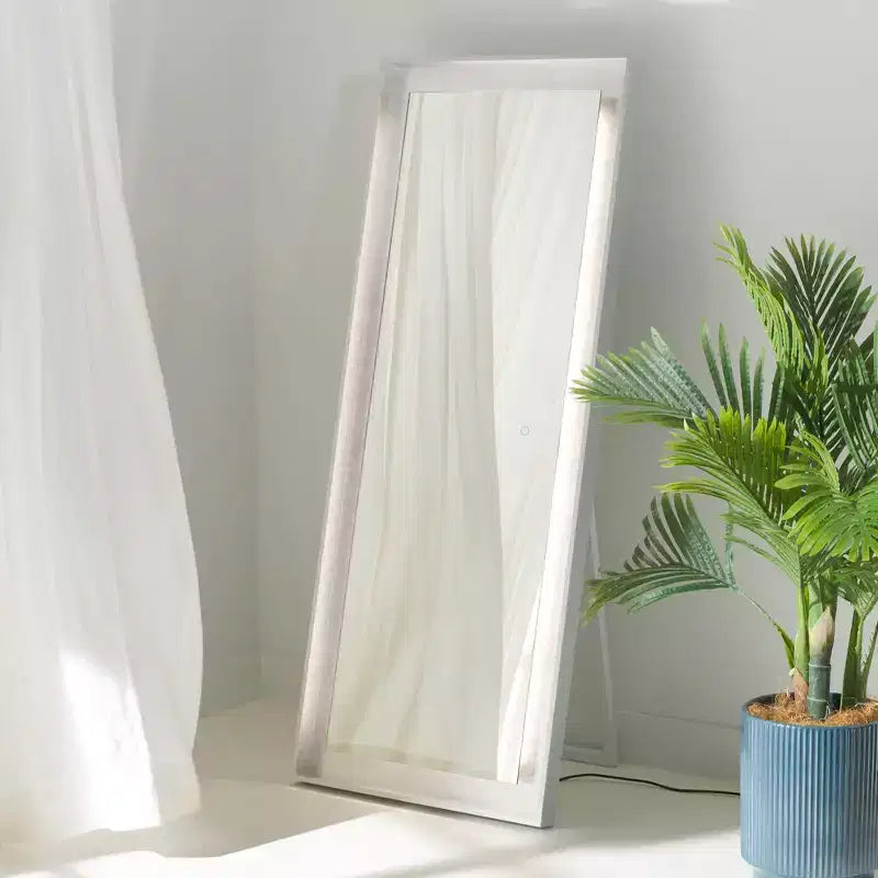 Miroir LED Montauk 22X65 - LMR1015 - Safavieh