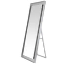 Miroir LED Montauk 22X65 - LMR1015 - Safavieh