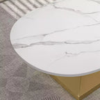 Table basse à plateau en céramique avec piètement contemporain en acier inoxydable - Une pièce maîtresse durable et élégante pour votre salon.