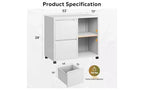 DEXYLLO Classeur Métallique à Tiroirs Latéraux avec Serrure, Meuble d'Imprimante Roulant à 2 Tiroirs avec Étagère, Meuble de Rangement Mobile pour Bureau à Domicile