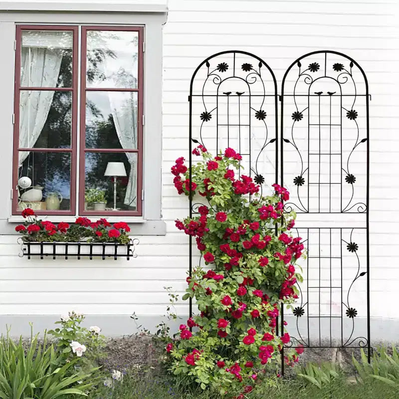 MAYEERTY Lot de 2 treillis de jardin en métal noir antirouille de 220 x 50 cm pour plantes grimpantes